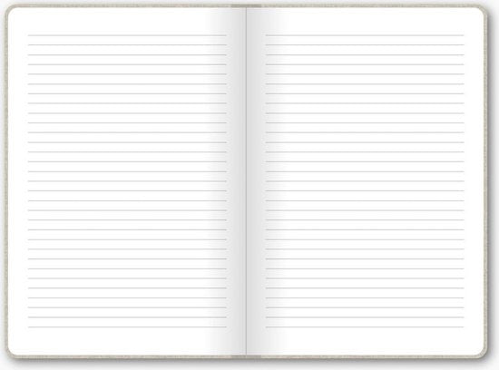 Studio Stationery Big Plans Only-Notizbuch