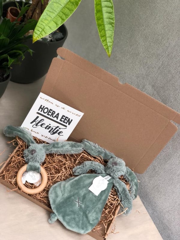 Happy Horse Konijn Richie Cadeauset Groen Bijtring + Knuffeldoekje