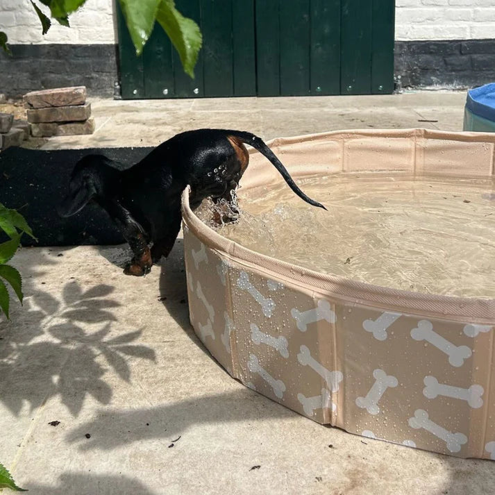 Swim essentials Swimming pool for dogs 80cm Beige Bones 